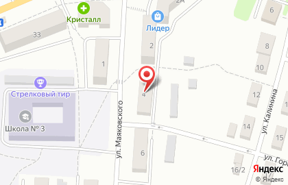 Магазин Авокадо на улице Маяковского на карте