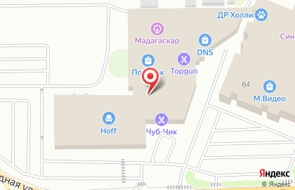 Зоомаркет Ле`Муррр на улице Щорса на карте