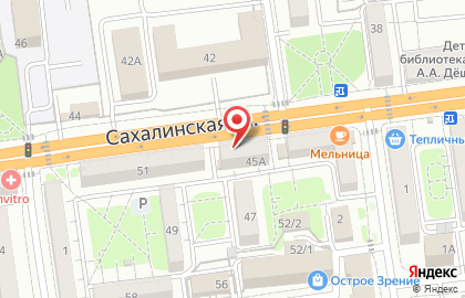 Зоомагазин Сахалин-Элита на Сахалинской улице на карте