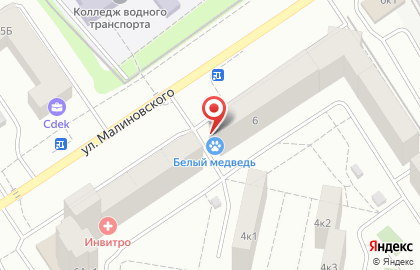 Ветеринарная клиника Белый медведь на улице Малиновского на карте