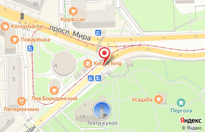 Бабочки, ИП Егорова Г.В. на карте