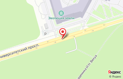 Шиномонтажная мастерская на Университетском проспекте на карте