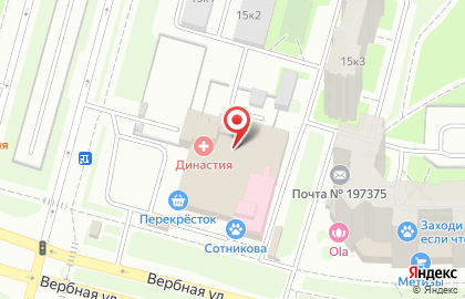 Медицинский центр Династия на улице Репищева на карте