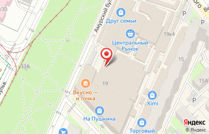 Зоомагазин Багира на улице Льва Толстого на карте
