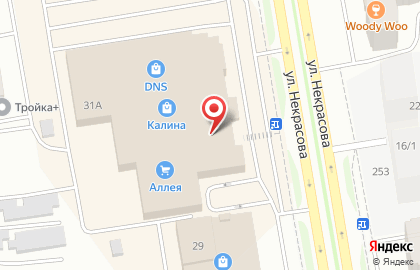 Сервисный центр Pedant на улице Некрасова на карте