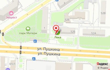 Химчистка-прачечная Тинтория на улице Пушкина на карте