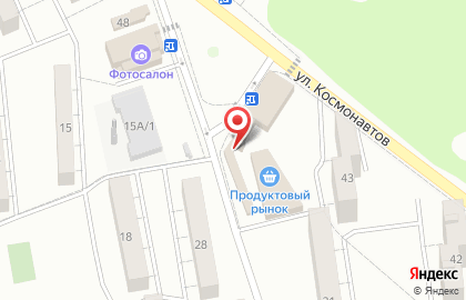 Магазин быстрого питания на улице Космонавтов на карте