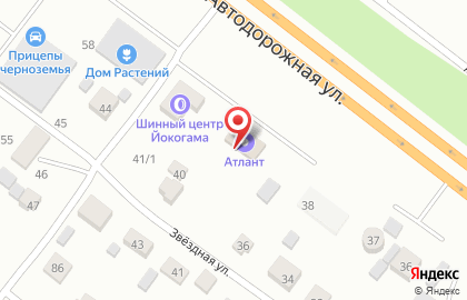 Магазин растений и товаров для сада Дом растений на Рубежной улице на карте