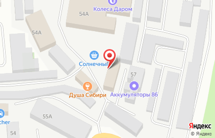 Магазин зоотоваров Айболит на улице Шевченко на карте