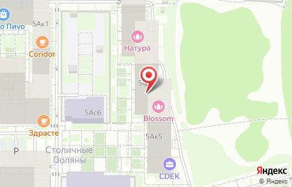Салон красоты Blossom на улице Поляны на карте
