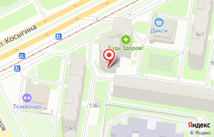 Зоогостиница Dearpet на проспекте Косыгина на карте