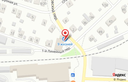 Ветеринарная клиника 9 Жизней в Иваново на карте