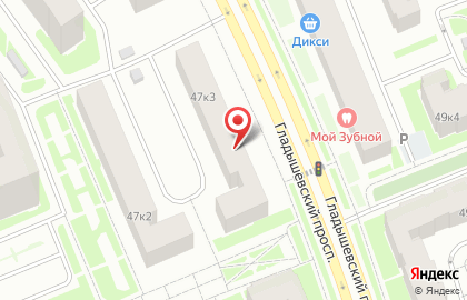 Городская поликлиника №49 в Приморском районе на карте