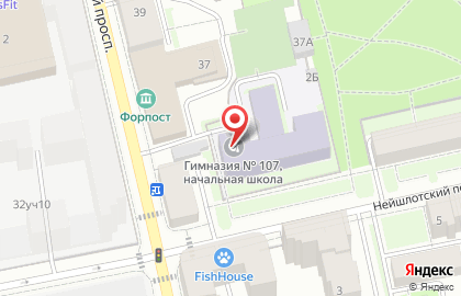 Гимназия №107 в Нейшлотском переулке на карте
