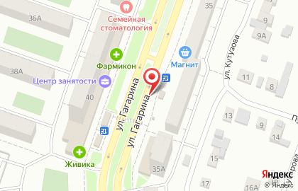 Цветочный салон Фрезия в Ленинском районе на карте