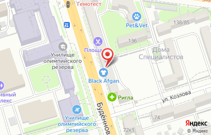Магазин Краски & Кисти на Будённовском проспекте на карте