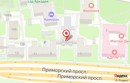 Балтийская консалтинговая группа на Приморском проспекте на карте