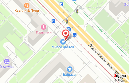 Магазин Много Цветов на Ломоносовском проспекте на карте