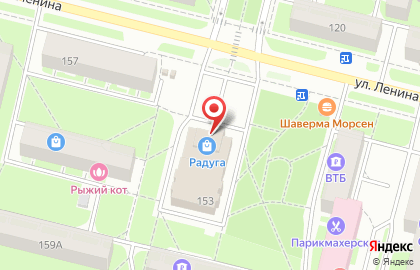 Зоомагазин 4 лапы на улице Ленина на карте
