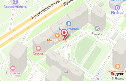 Центр бытовых услуг Великий Мастер на Кушелевской дороге на карте