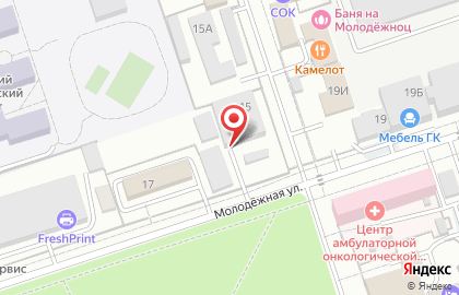 Торгово-сервисная компания Кельвин на Молодёжной улице на карте