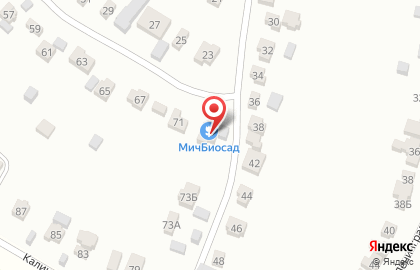 МичБиосад на карте
