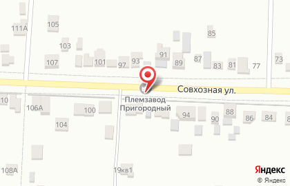 Консиб на Совхозной улице на карте