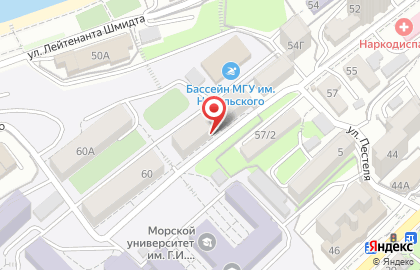 Морской государственный университет им. адмирала Г.И. Невельского во Владивостоке на карте