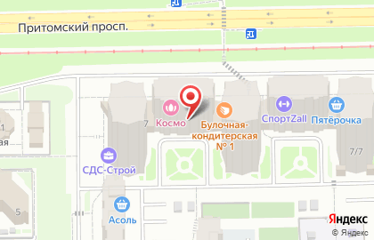 Интернет-магазин по продаже амуниции для собак и лошадей Полнолуние на Притомском проспекте на карте