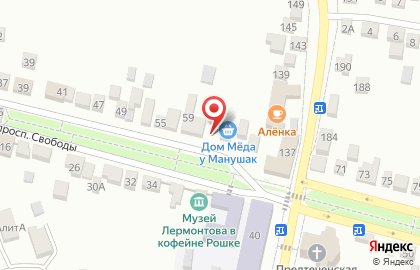 Детская художественная школа им. Н.С. Качинского на проспекте Свободы на карте