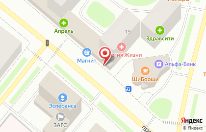 Зоомагазин Лапусик на проспекте Ленина на карте
