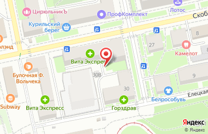 Енот на улице Скобелевский на карте