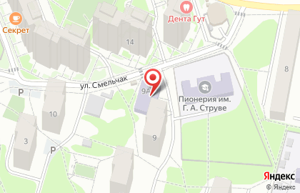Пионерия на карте