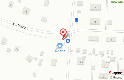 Продовольственный магазин Диана на улице Мира на карте