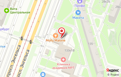 Паб Molly Malone на проспекте Энгельса на карте