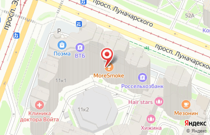 Цветочный магазин АртФлора на проспекте Луначарского на карте