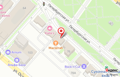 Фирма Вектор на Петербургской улице на карте