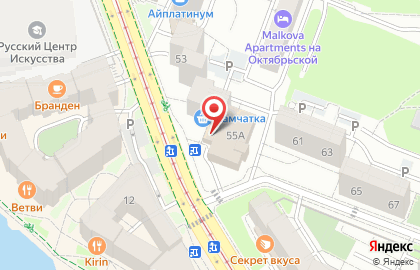 Клиника Диал-Сенат в Московском районе на карте