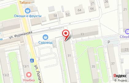 Ветеринарная аптека Мир животных на улице Фурманова на карте