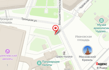 трезвый водитель на Библиотеке им Ленина на карте