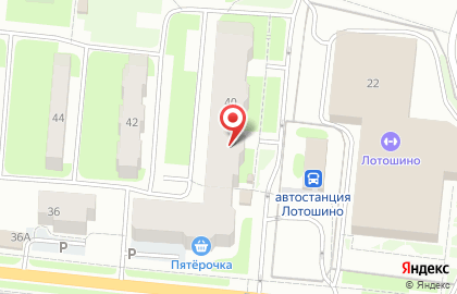Пятёрочка на Центральной улице на карте