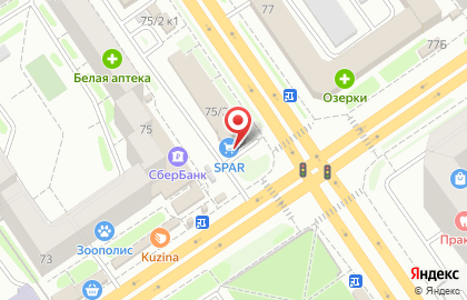 Многопрофильный магазин в Заельцовском районе на карте