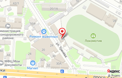 Летучая мышь в Ростове-на-Дону на карте