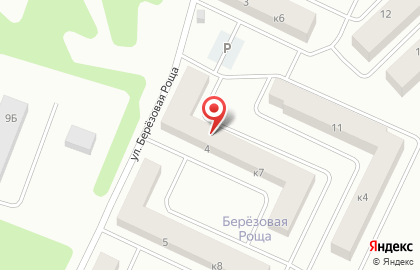 Ветеринарный центр Любимчик на улице Березовая роща на карте