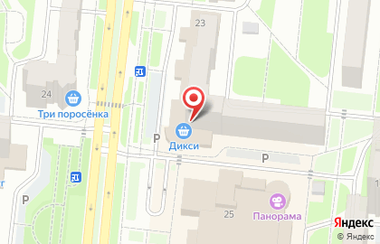 Супермаркет Дикси на улице Попова на карте