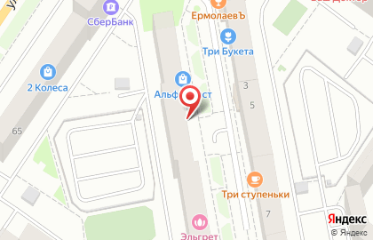 Шале на улице Николая Гондатти на карте