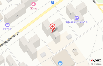 Единая Россия на Молодёжной улице на карте