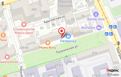 Магазин FixPrice на Пушкинской улице, 231 на карте