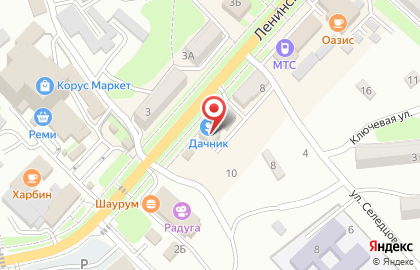 Зайчик на Ленинской улице на карте