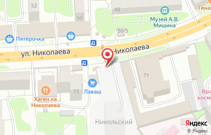 Киоск фастфудной продукции на улице Николаева на карте
